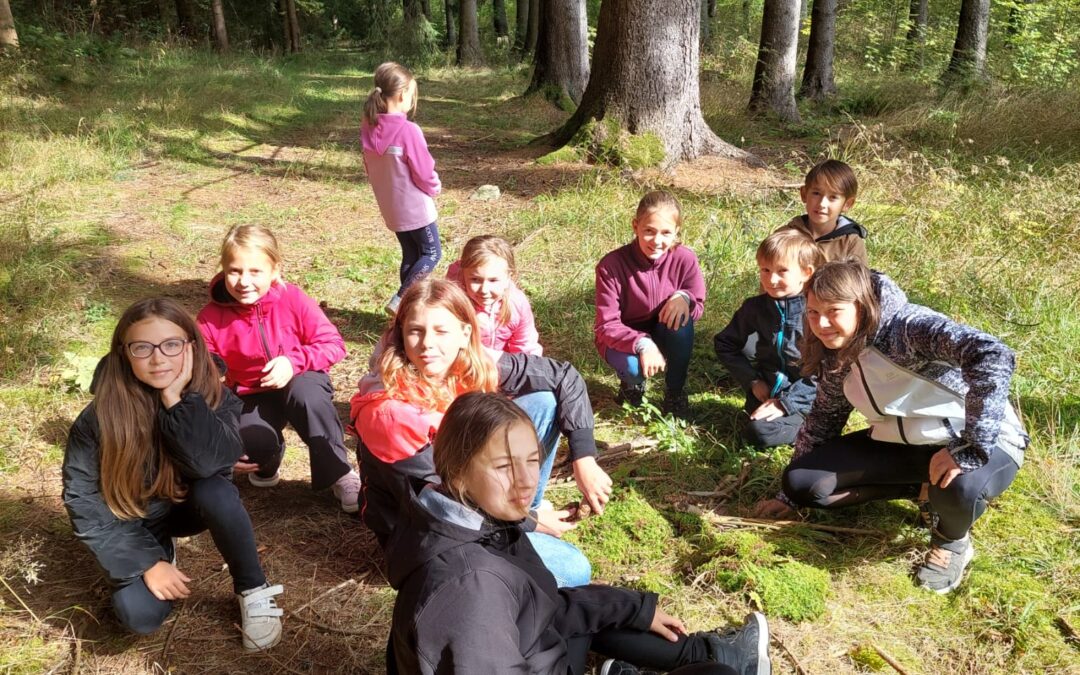 Seznamovací pobyt na Olšině, Nové Údolí, Stožec