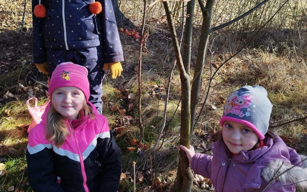 Vánoce pro zvířata