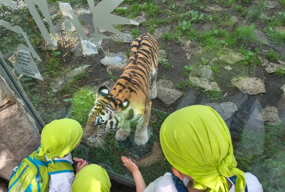 ZOO Hluboká nad Vltavou
