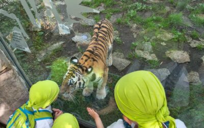 ZOO Hluboká nad Vltavou